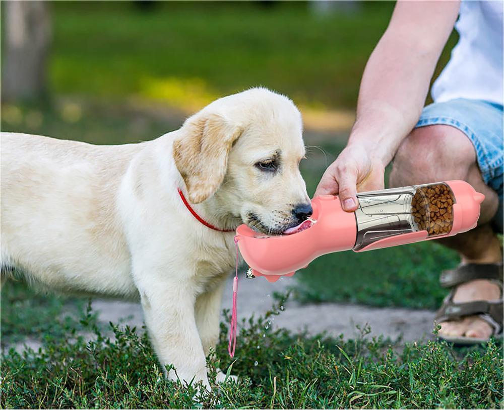 Portable Pet Feeder Bowl