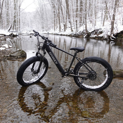 Professional Electric Mountain Bike