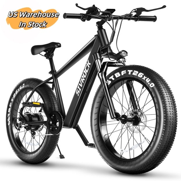 Professional Electric Mountain Bike