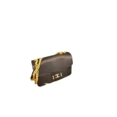 Chic Handbag with Double Chain Handle