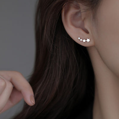 High-grade Frosty Style Stud Earrings