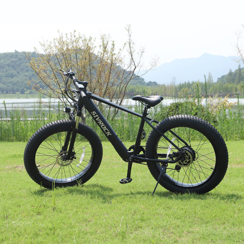 Professional Electric Mountain Bike