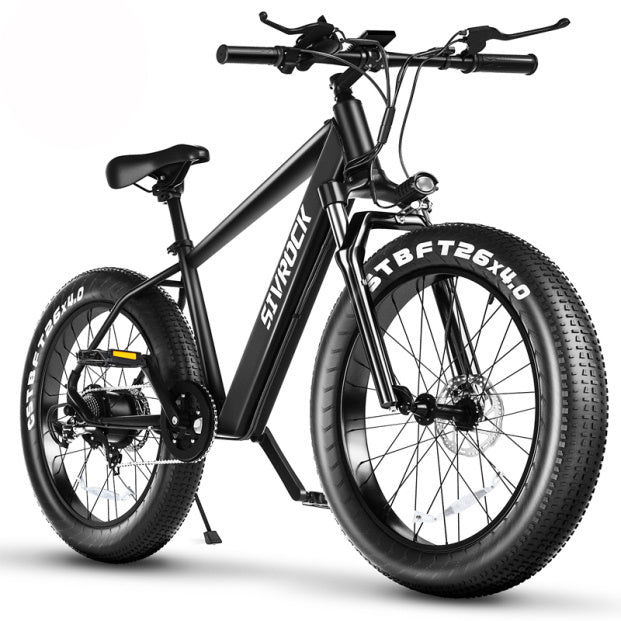 Professional Electric Mountain Bike