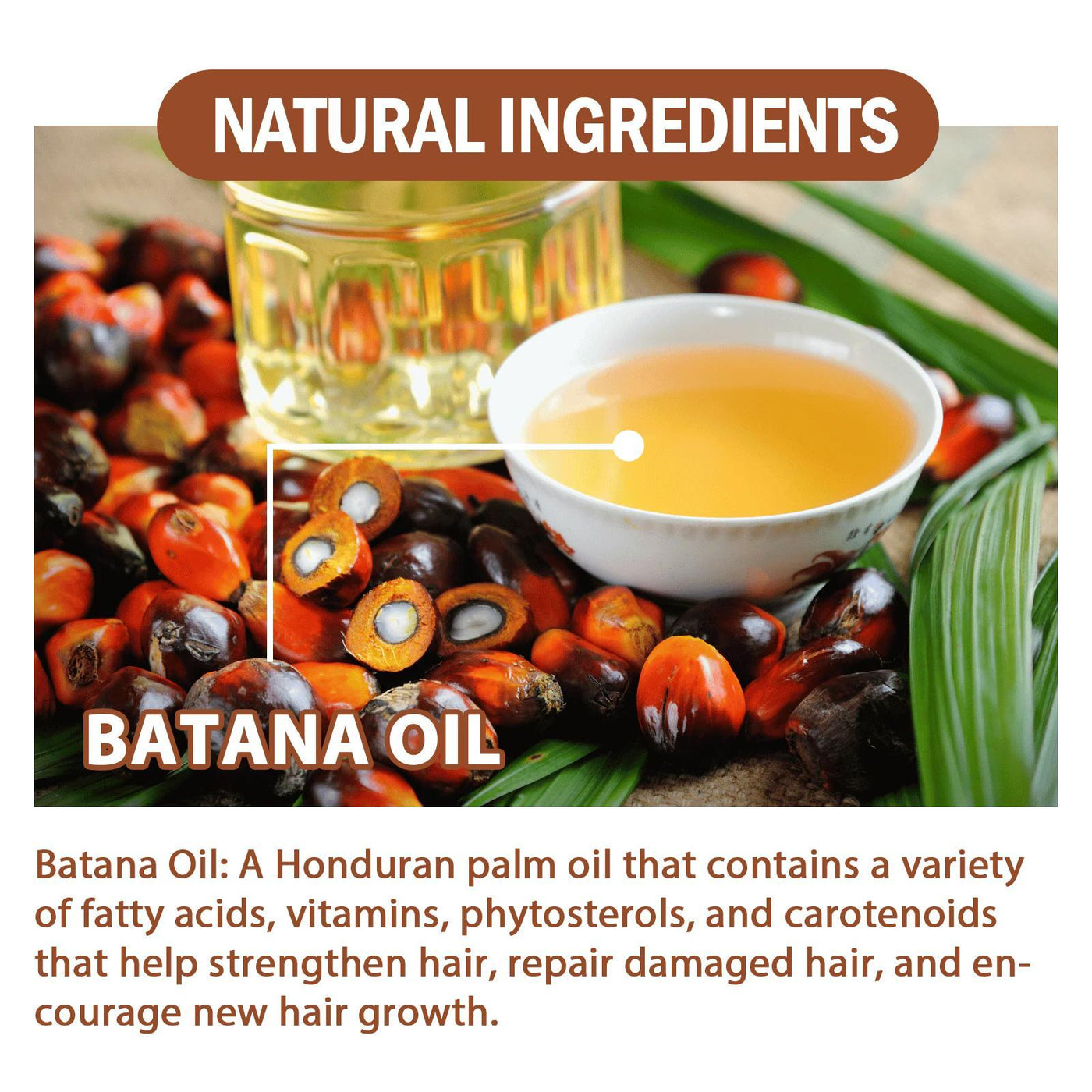 Batana Oil from Honduras - Get Fuller, Thicker, Healthier Hair