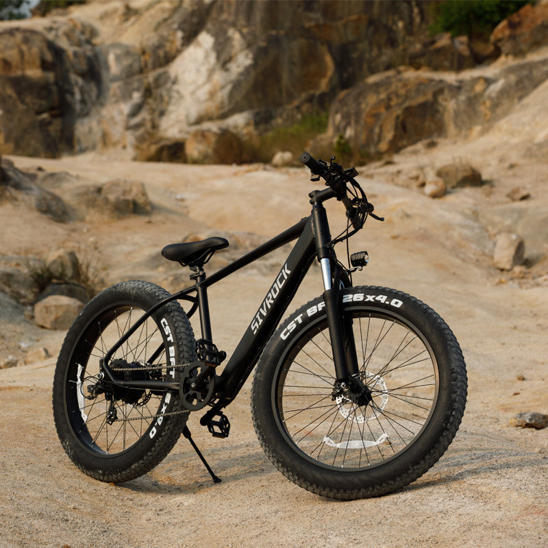 Professional Electric Mountain Bike