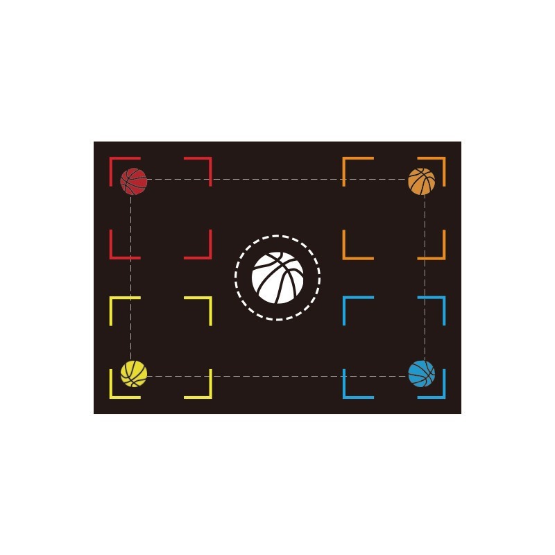 Basketball Training Mat, Indoor Step Positioning